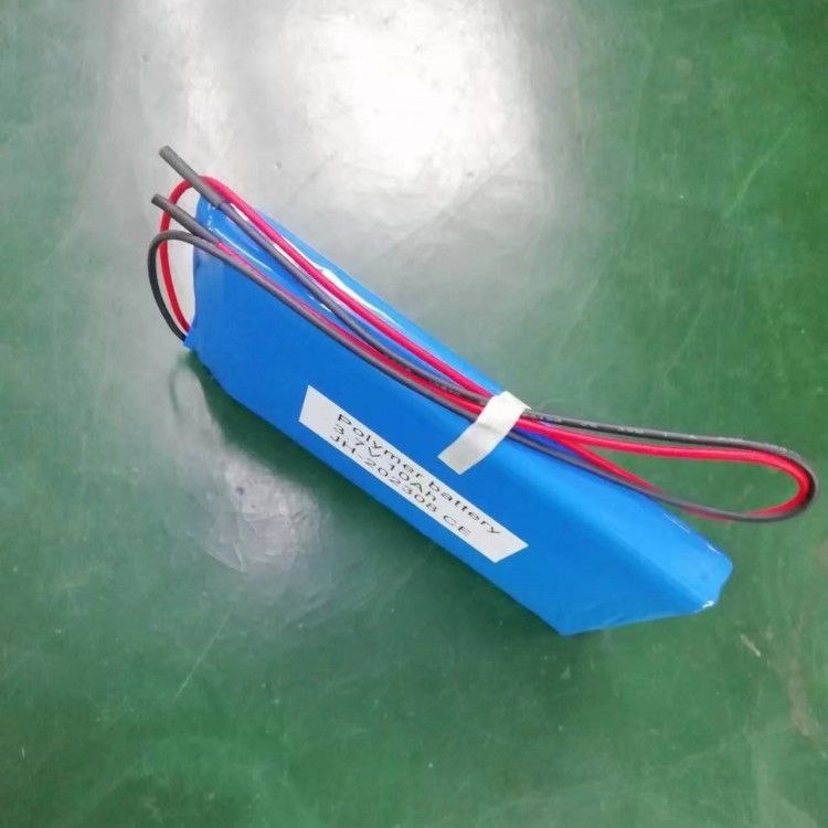 3.7V 10Ah Polymer Battery Pack 37Wh 5A Rate 6767100-1C 1S2P Cho thiết bị theo dõi