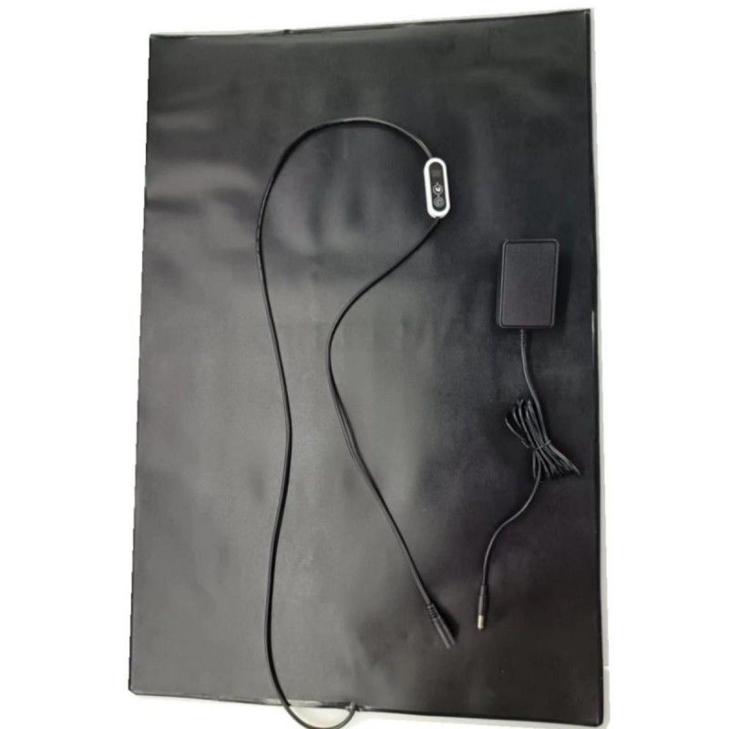 PVC Pet Heat Mat 12V Heating Pad 60x40cm Với Máy điều khiển nhiệt độ cho chó mèo