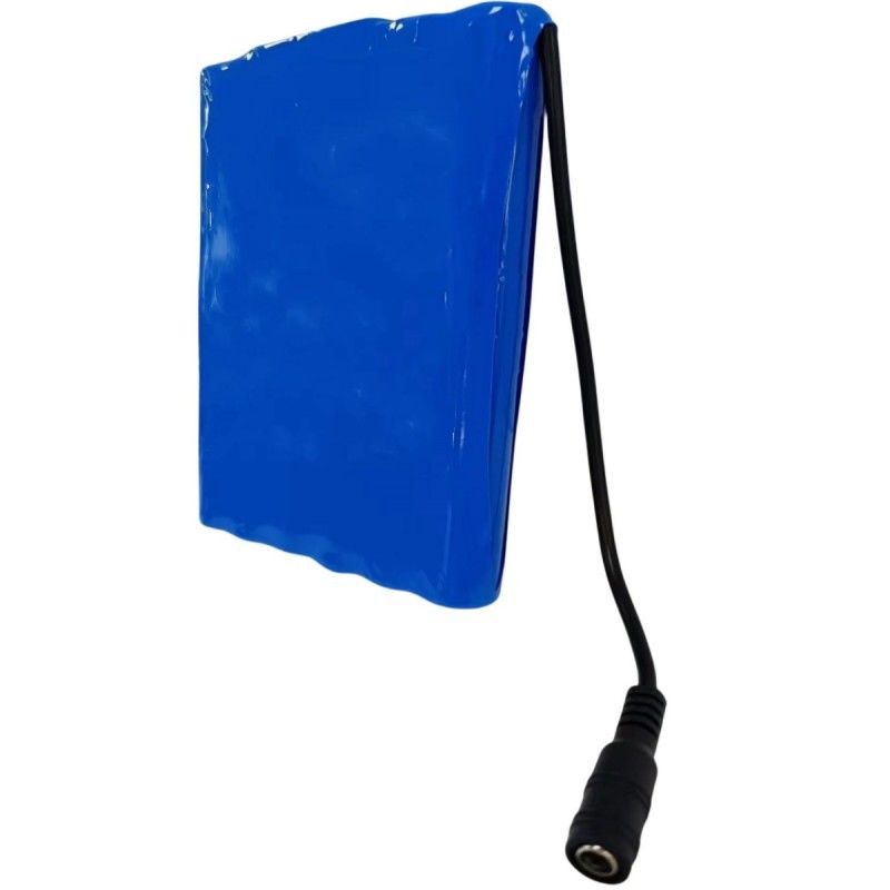 Slim 18650 pin 6S2P 22.2V 5Ah Với DC 5.5x2.1mm kết nối BMS trên đầu