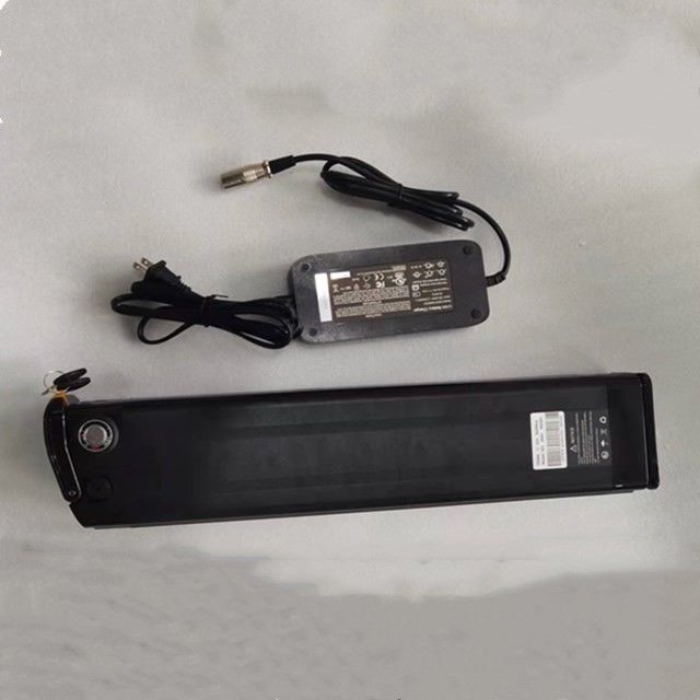 Silver Fish Lithium pin 48V 25Ah Chiều dài 630mm với bộ sạc cho E Bike