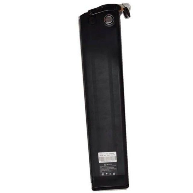 Silver Fish Lithium pin 48V 25Ah Chiều dài 630mm với bộ sạc cho E Bike