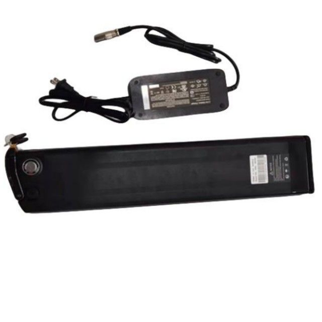 Silver Fish Lithium pin 48V 25Ah Chiều dài 630mm với bộ sạc cho E Bike